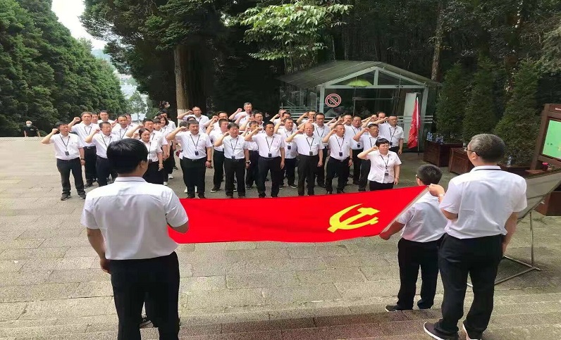 這一年，黨建引領(lǐng)增活力