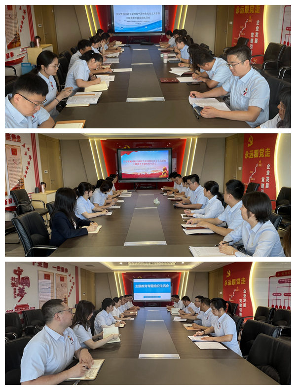智引公司各黨支部召開(kāi)主題教育專(zhuān)題組織生活會(huì )
